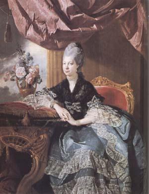 Johann Zoffany Queen Charlotte (mk25) oil painting image